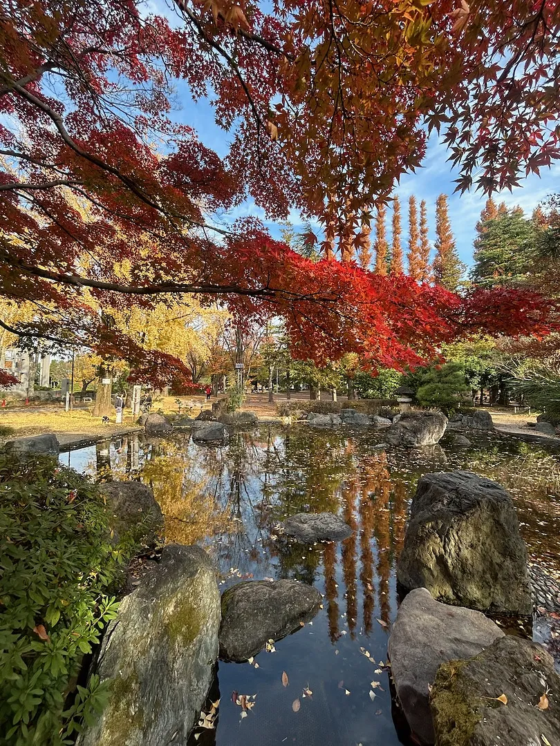 浦和北公園と北浦和公園の紅葉