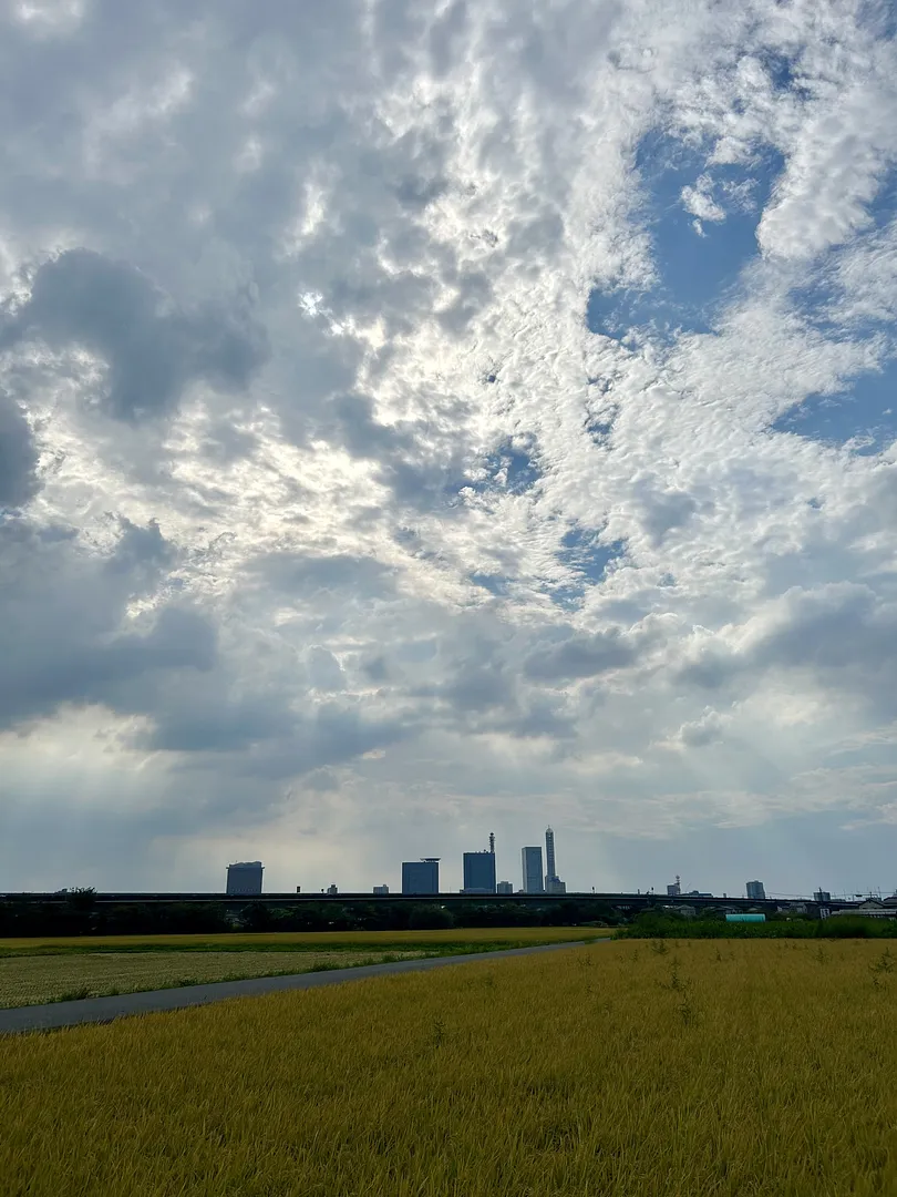 見沼田んぼとさいたま新都心のビル群