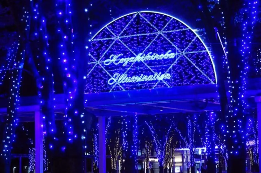 けやきひろばイルミネーション2025-26