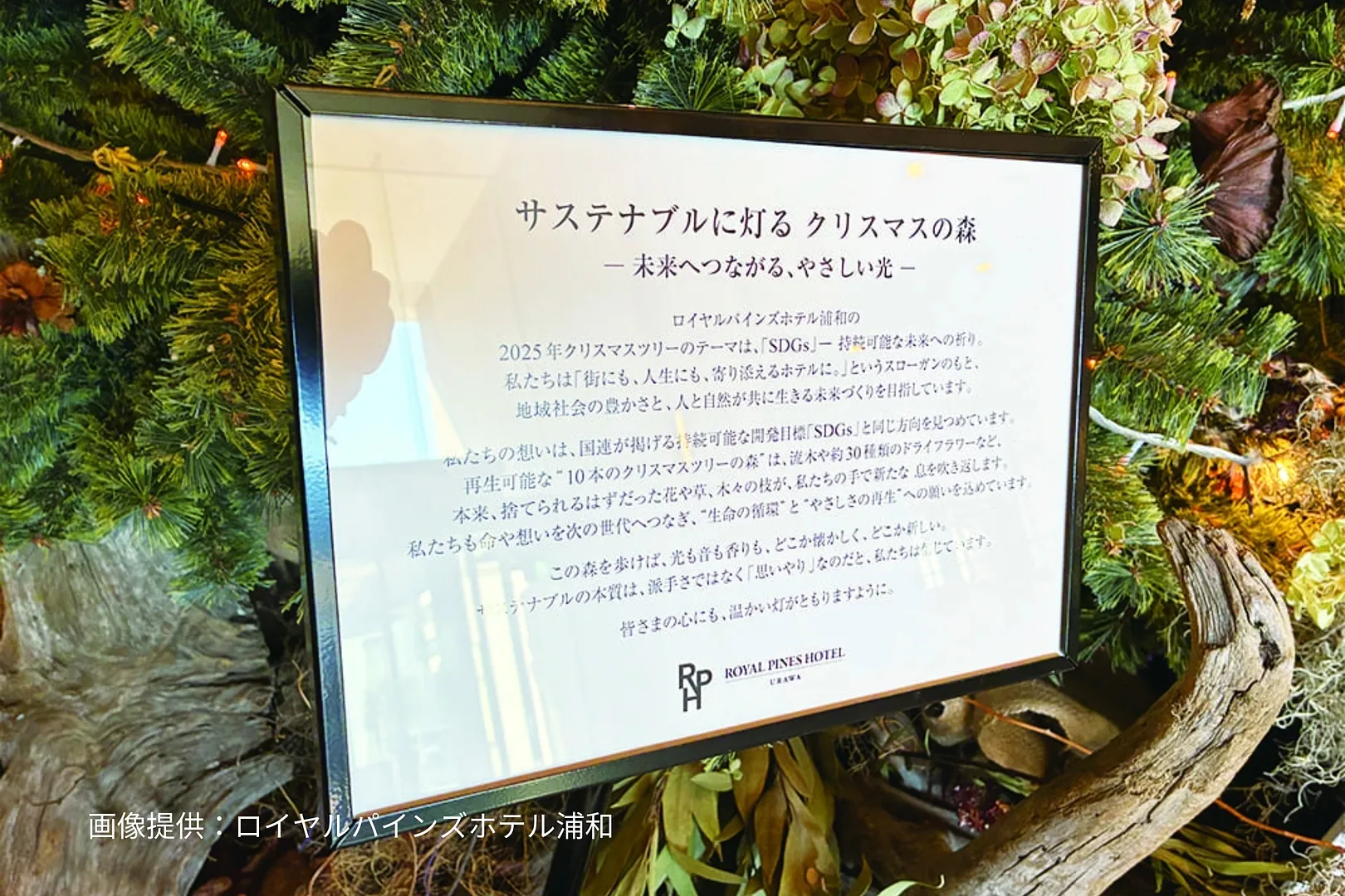 2025christmastree_royalpineshotelurawa_2.jpeg