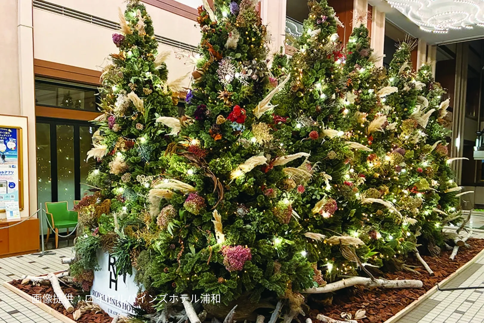2025christmastree_royalpineshotelurawa_1.jpeg