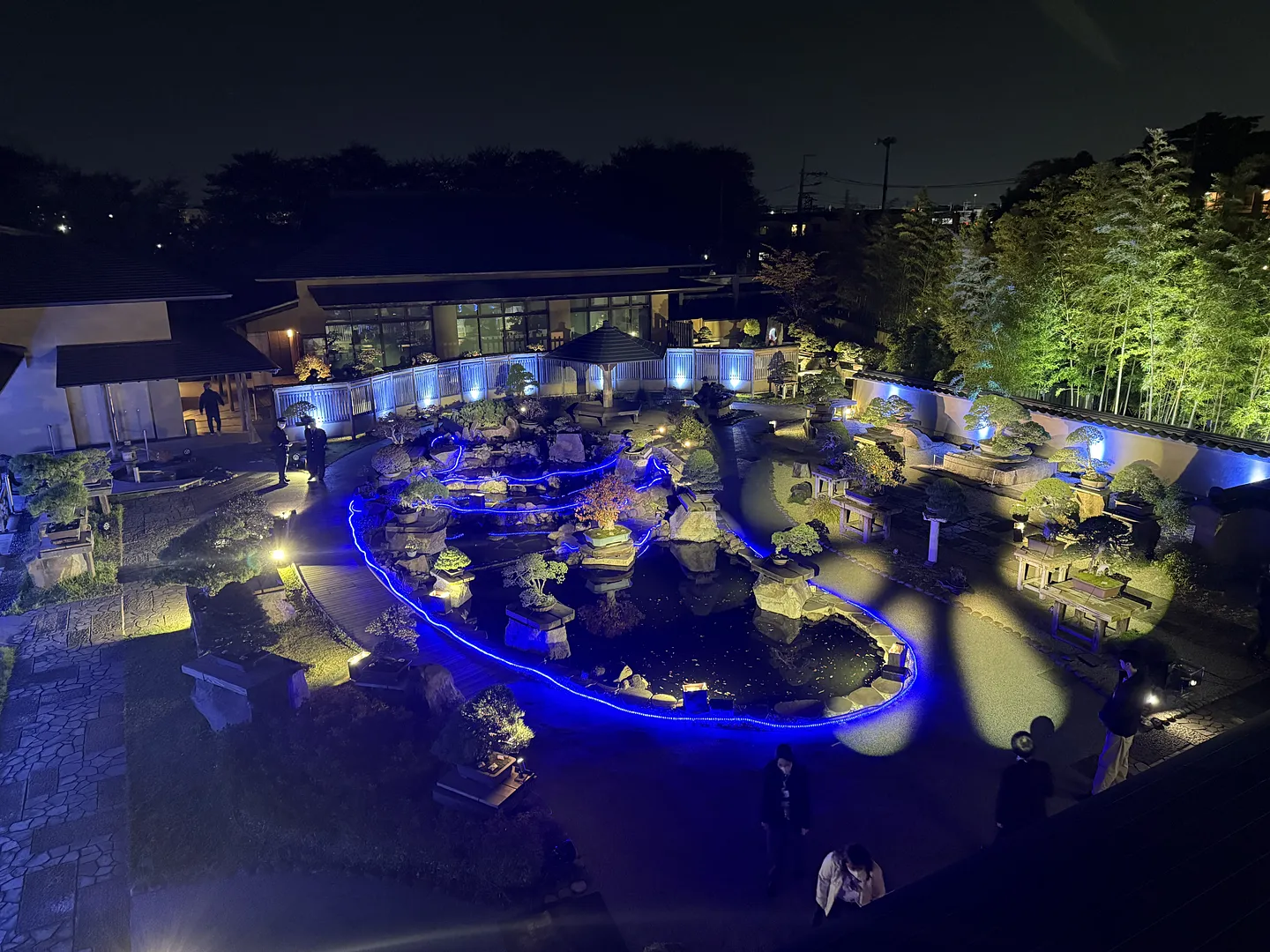 大宮盆栽美術館 夜間特別開館ライトアップ BONSAI CANVASの様子