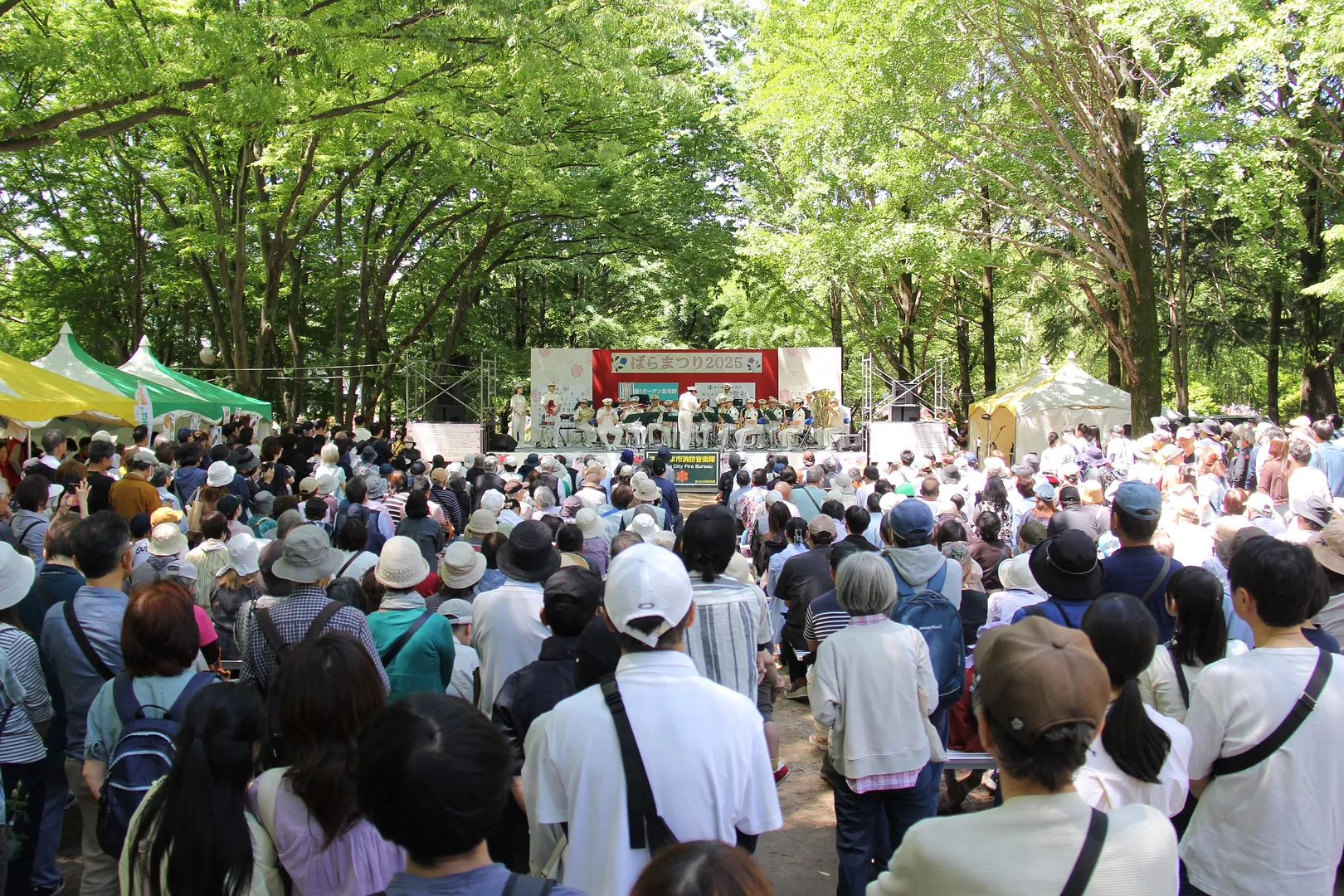 ばらまつり2_2025