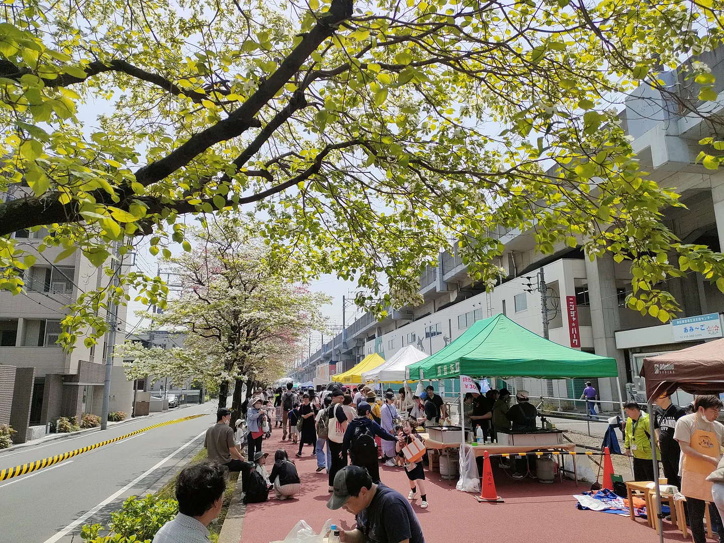 令和7年度の白幡ハナミズキ祭の様子