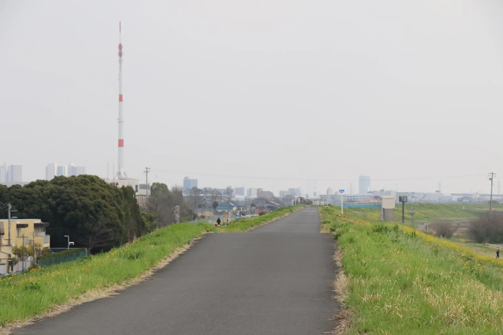 レッズランドの土手