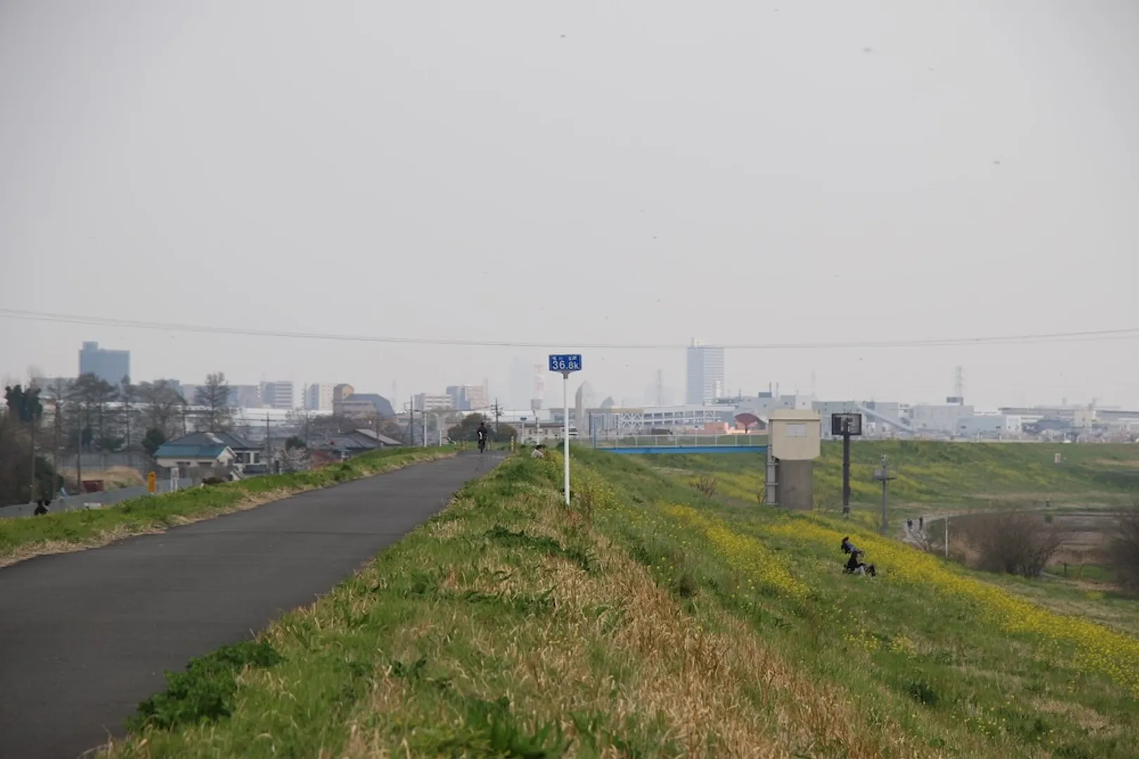 レッズランドの土手