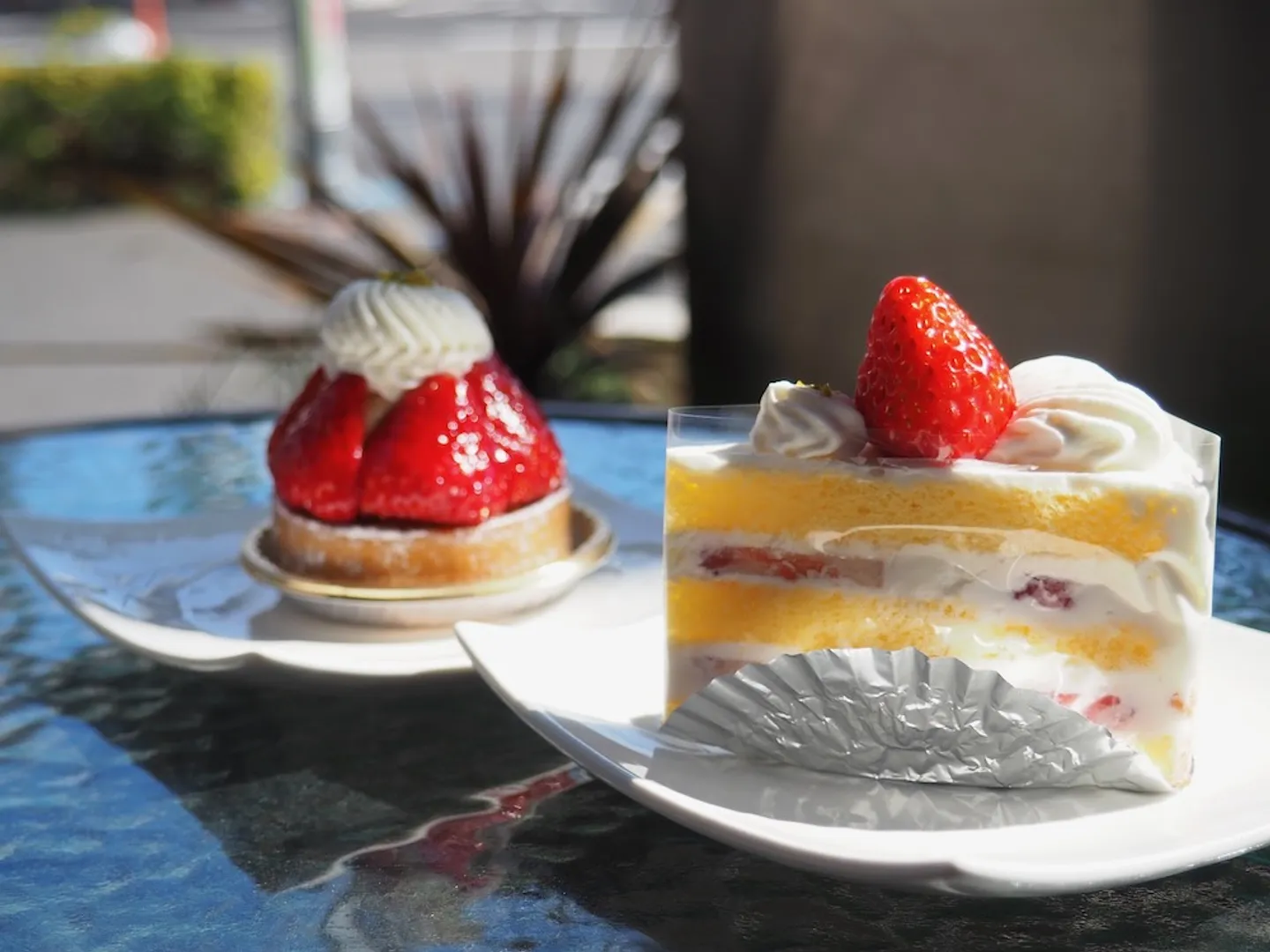 アプラノスのケーキ