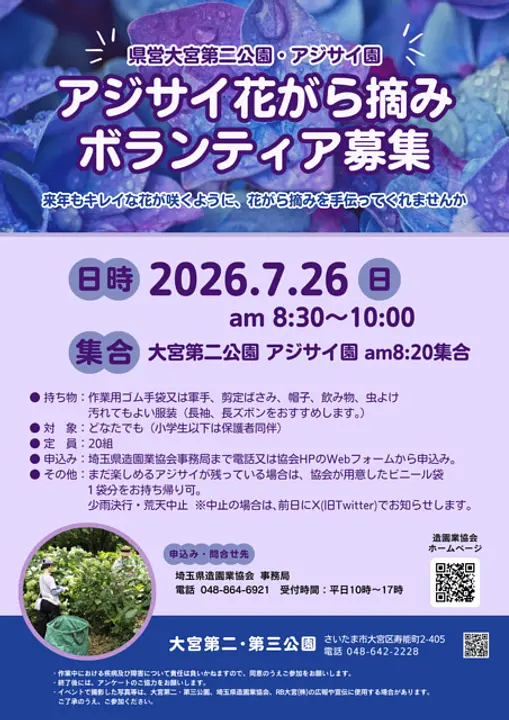 大宮第二公園　アジサイの花がら摘み