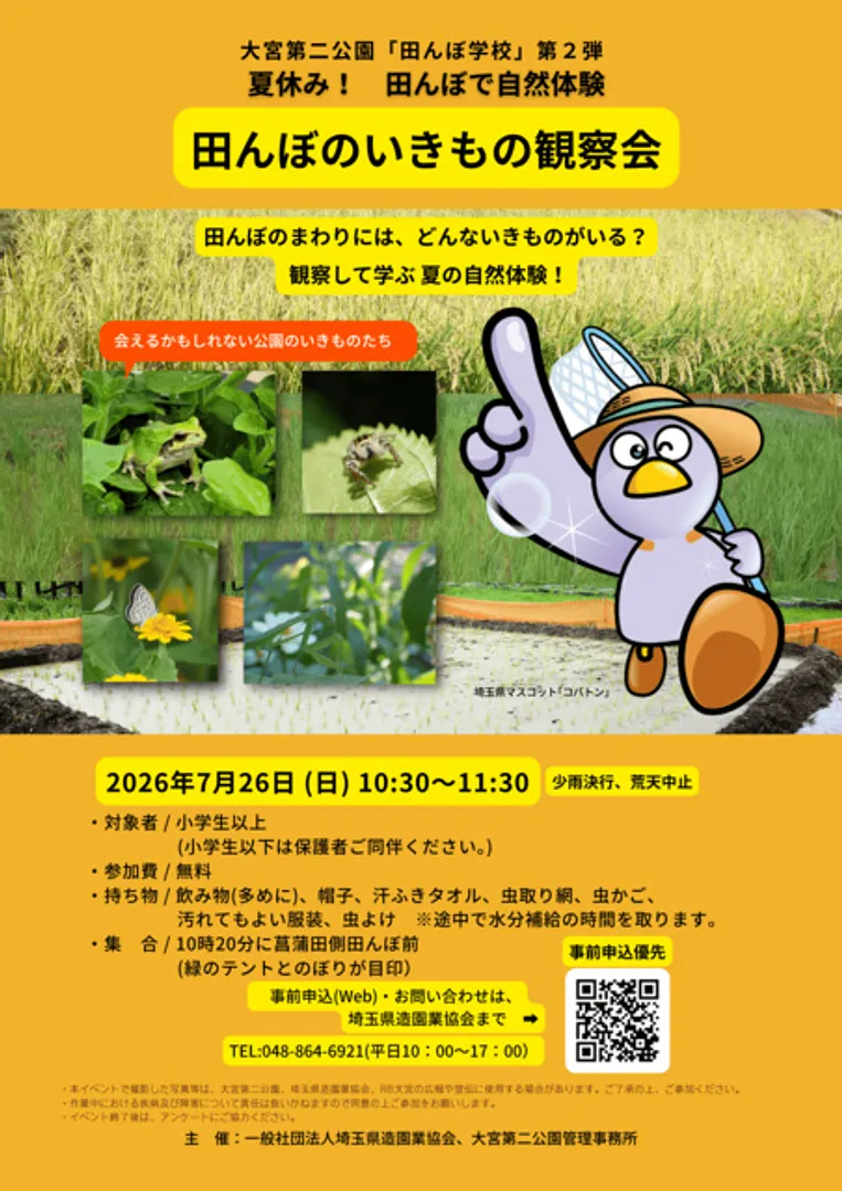 田んぼのいきもの観察会