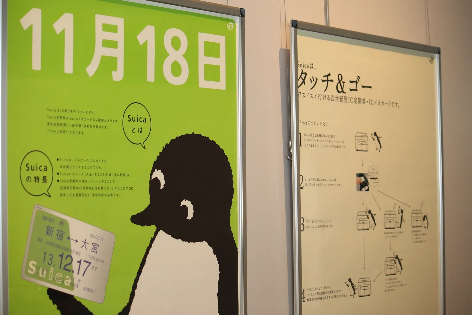 6H4A5235.JPG