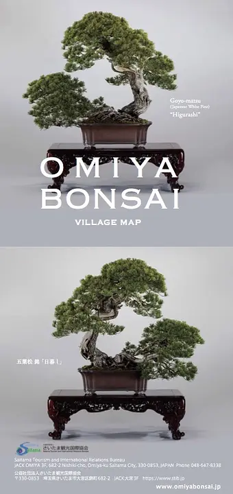 OMIYA BONSAI VILLAGE MAP(日英版 大宮盆栽村地図)