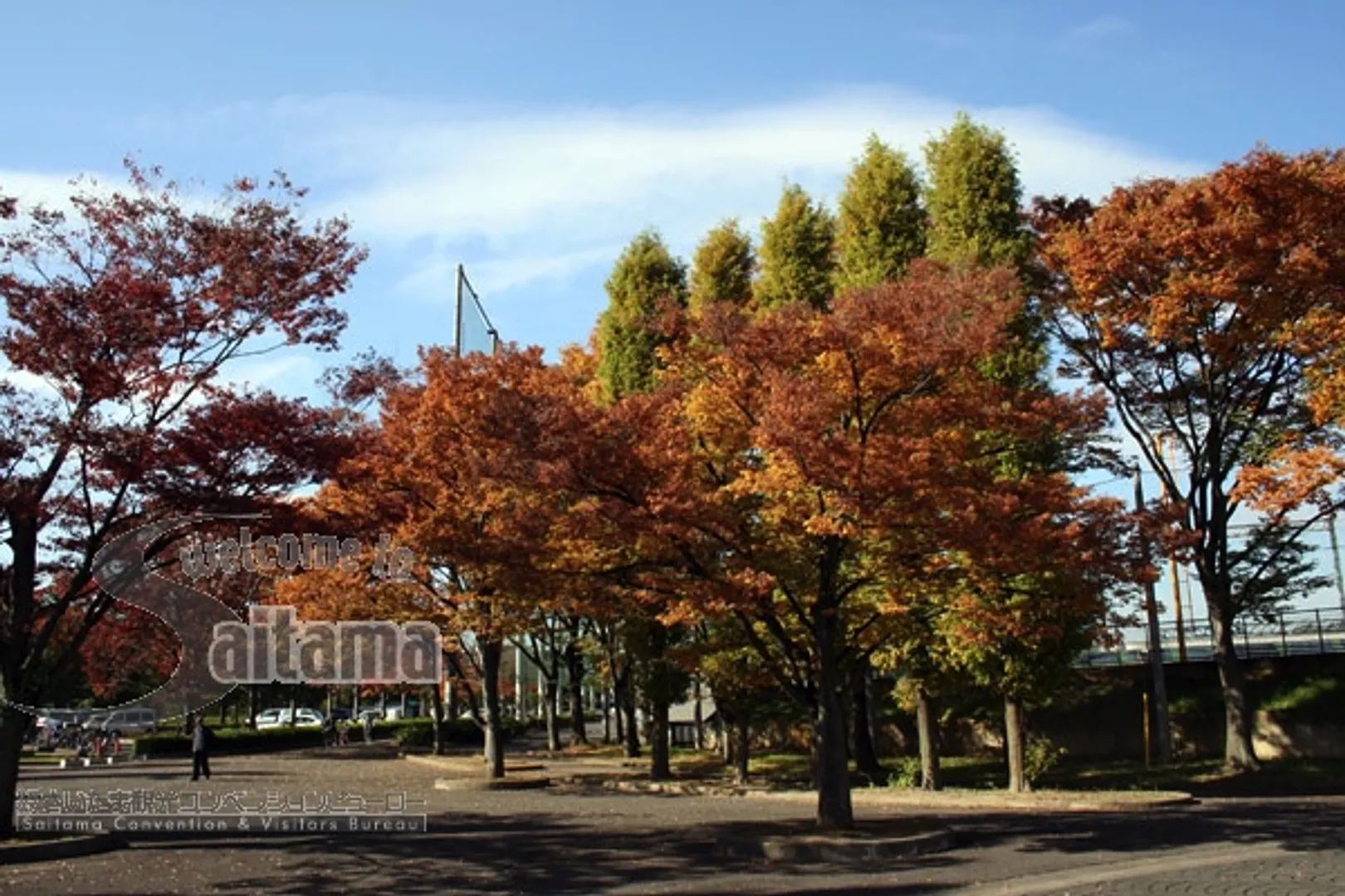 大和田公園プール