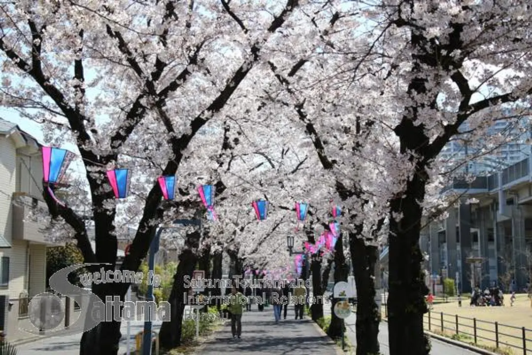 花と緑の散歩道 -1