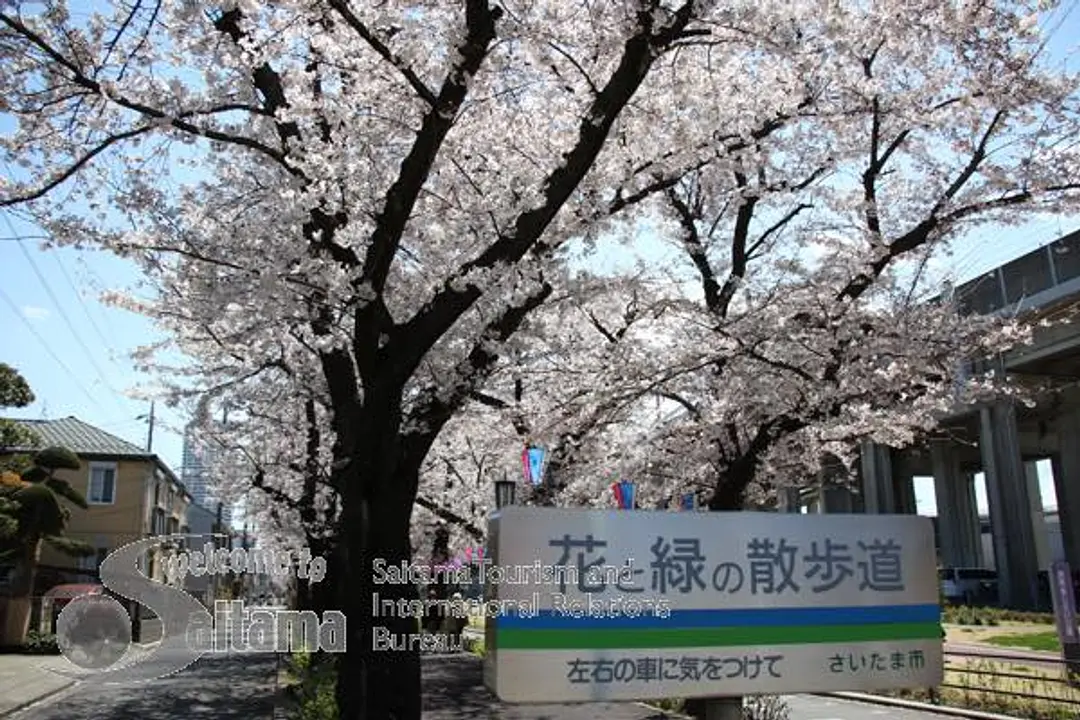 花と緑の散歩道 -2