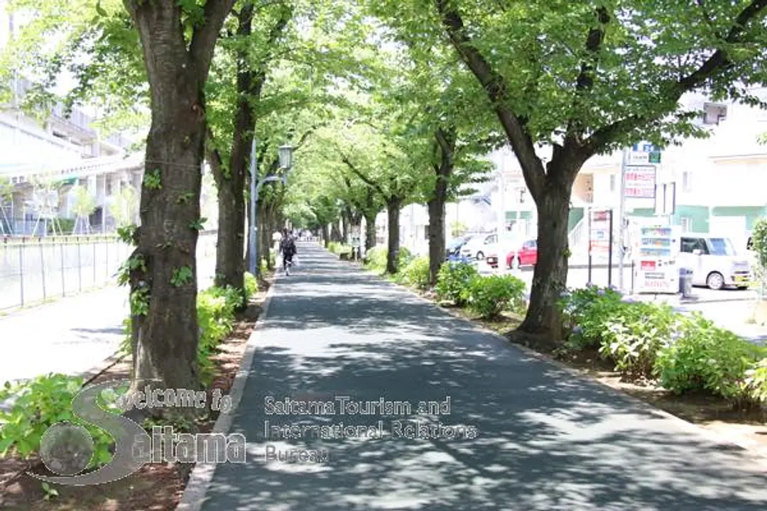 花と緑の散歩道 -4