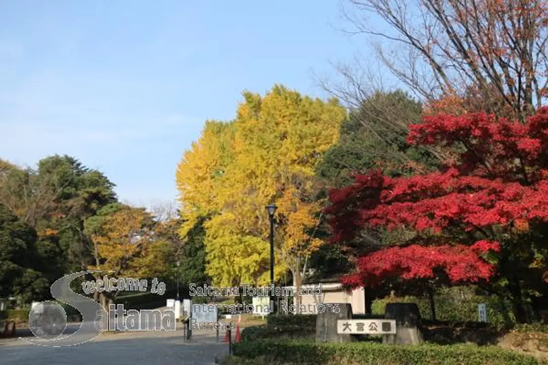 大宮公園 -4