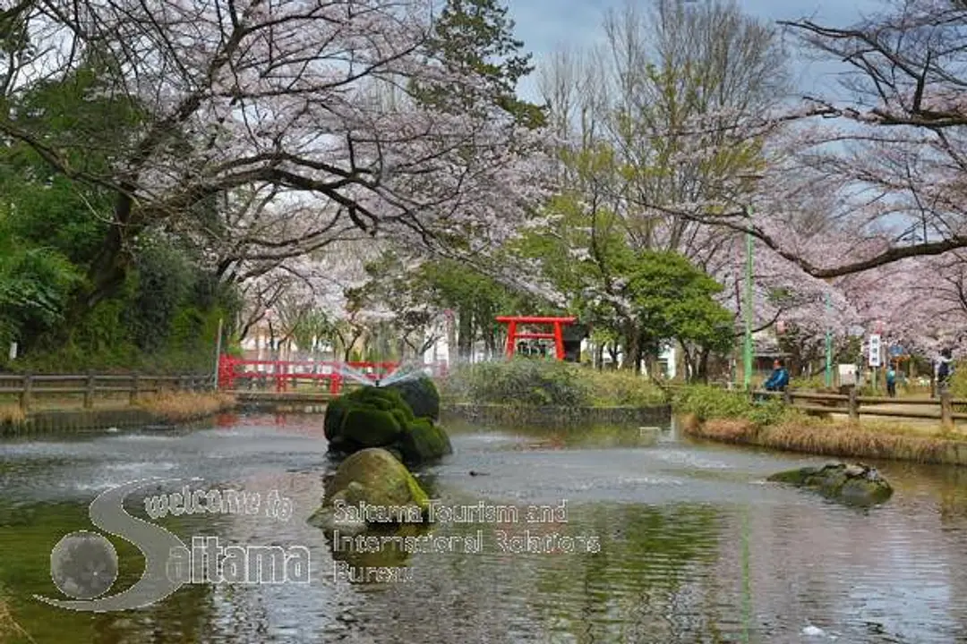 与野公園 -2