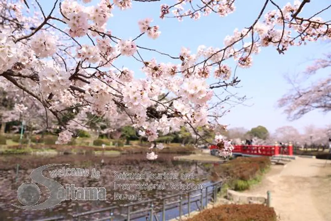 岩槻城址公園 -1