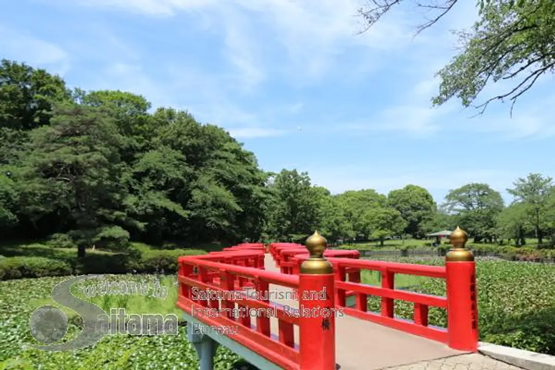 岩槻城址公園 -5