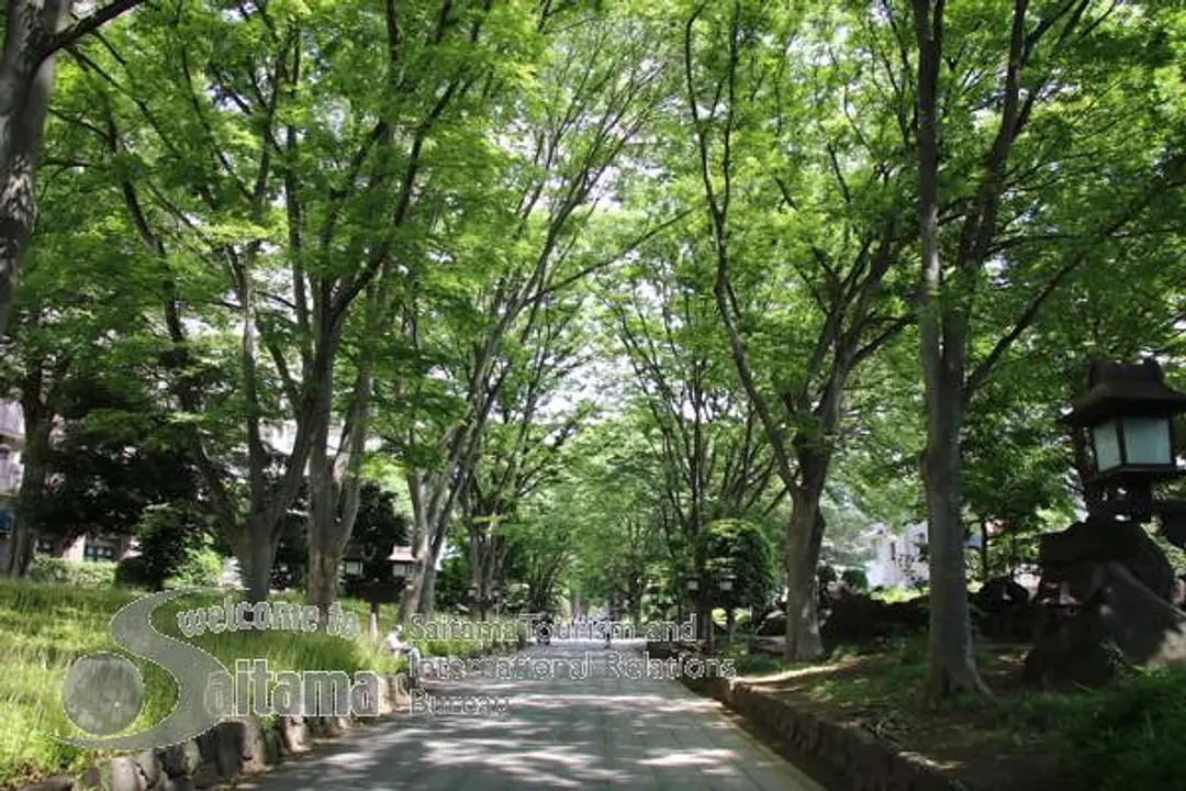 氷川参道・平成ひろば -2