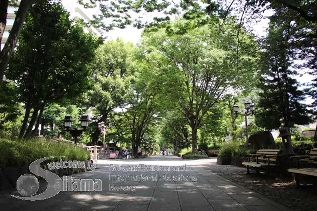 氷川参道・平成ひろば -3