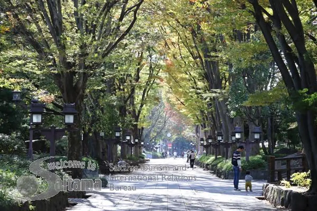 氷川参道・平成ひろば -4