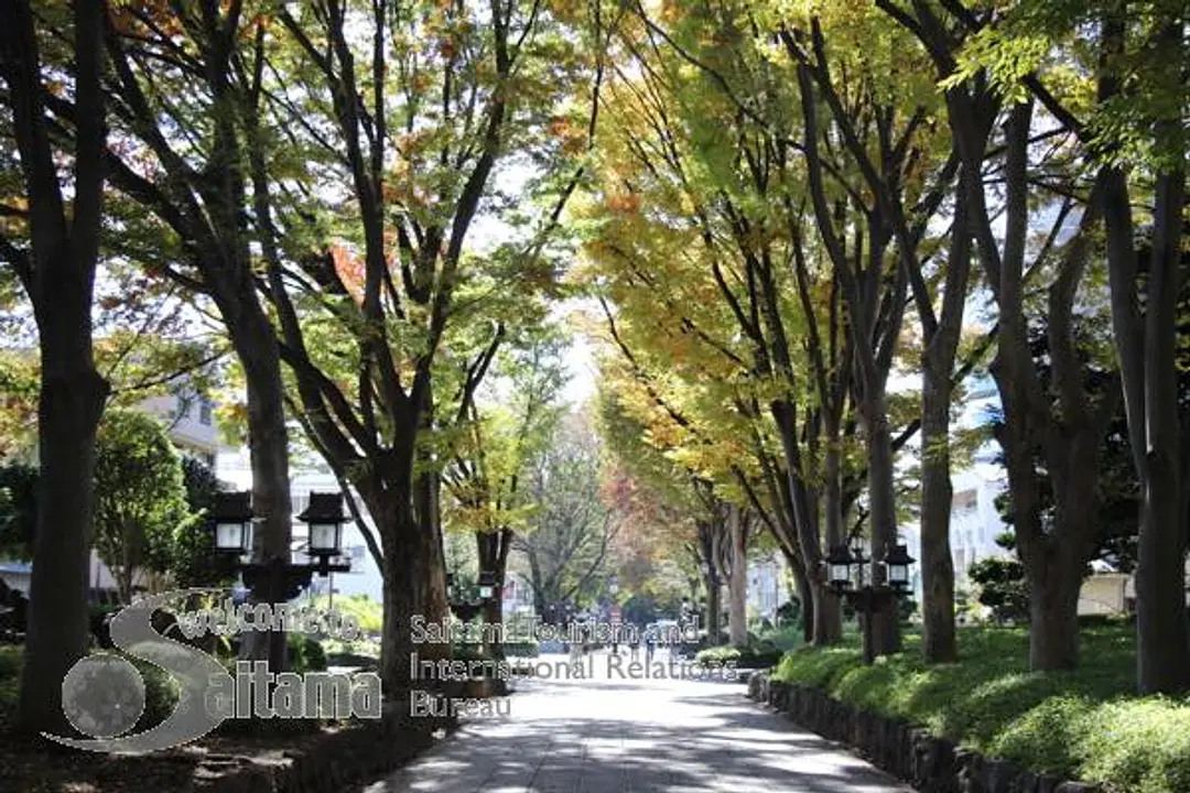 氷川参道・平成ひろば -5