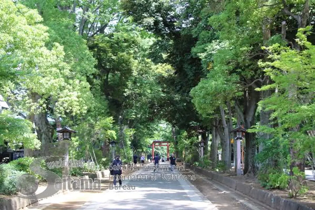 氷川参道・平成ひろば -7