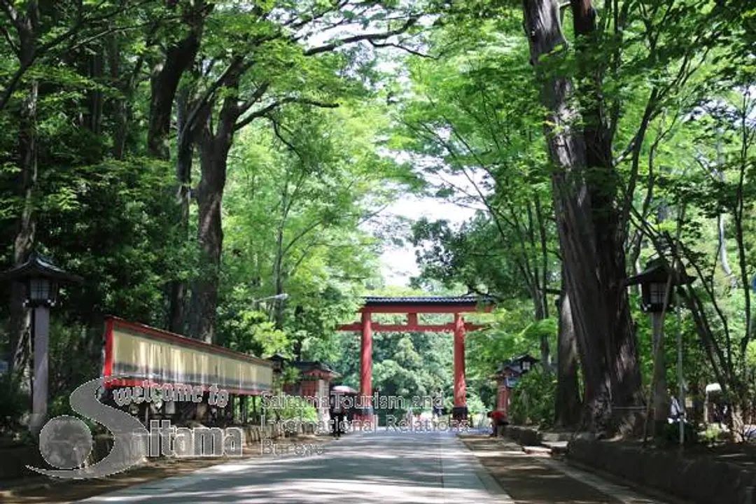 氷川参道・平成ひろば -8