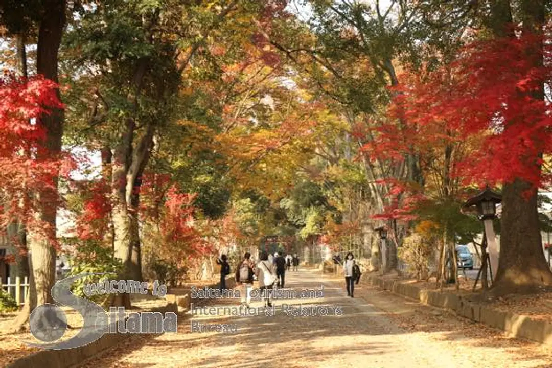 氷川参道・平成ひろば -9