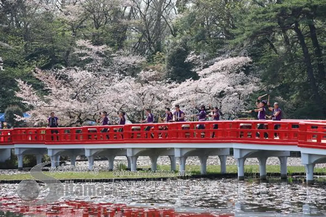 岩槻城址公園桜まつり -1