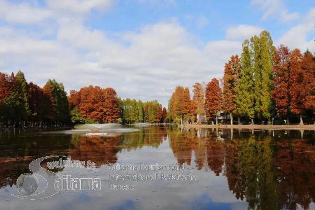 別所沼公園 -1