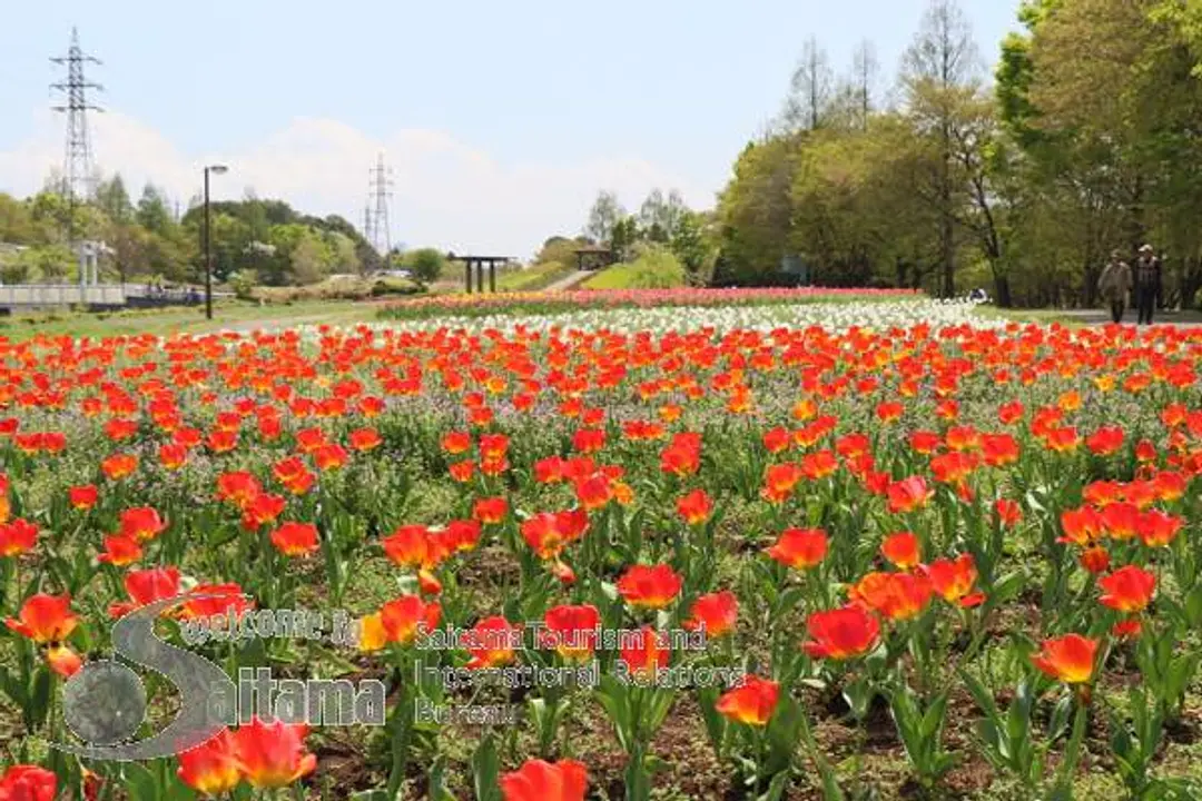 花の丘農林公苑 -1