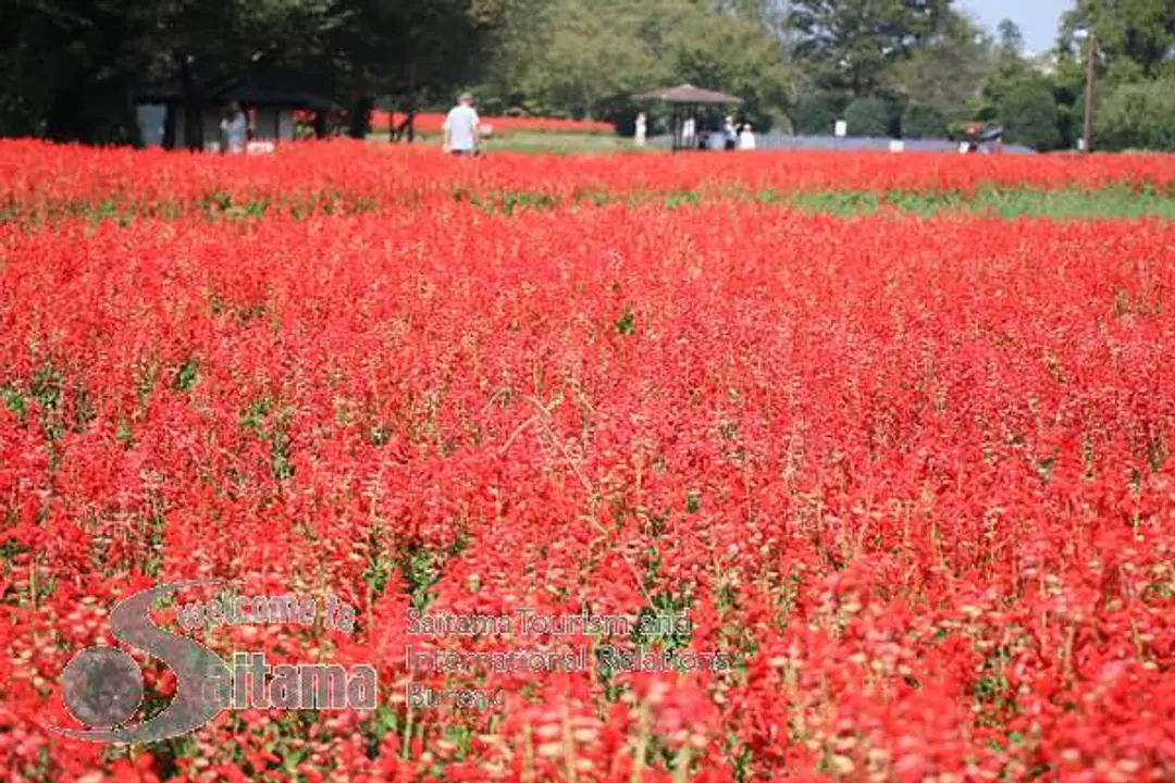 花の丘農林公苑 -3