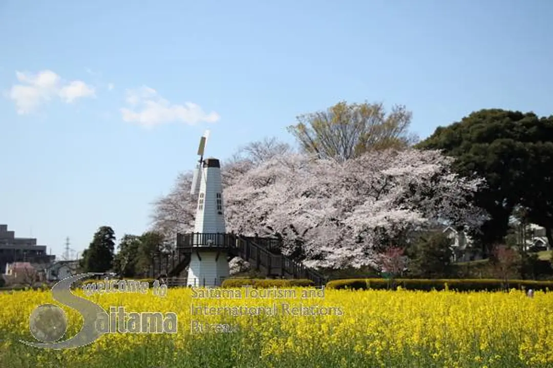 見晴公園 -1