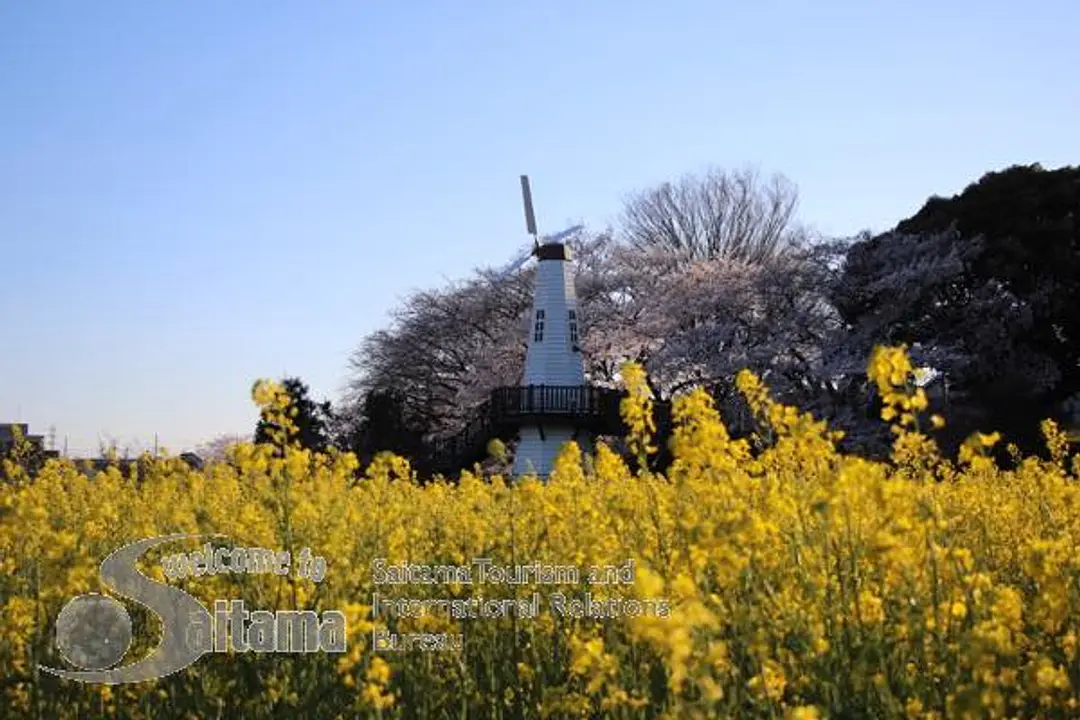 見晴公園 -2