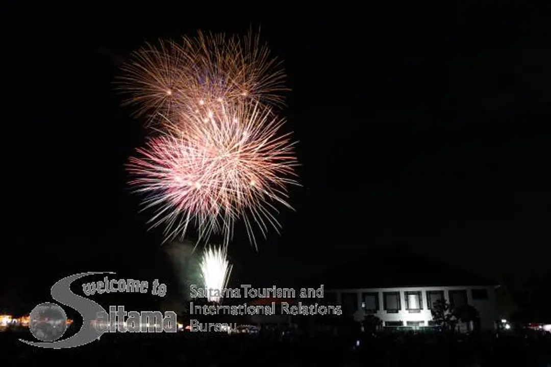 花火大会(岩槻文化公園)-2