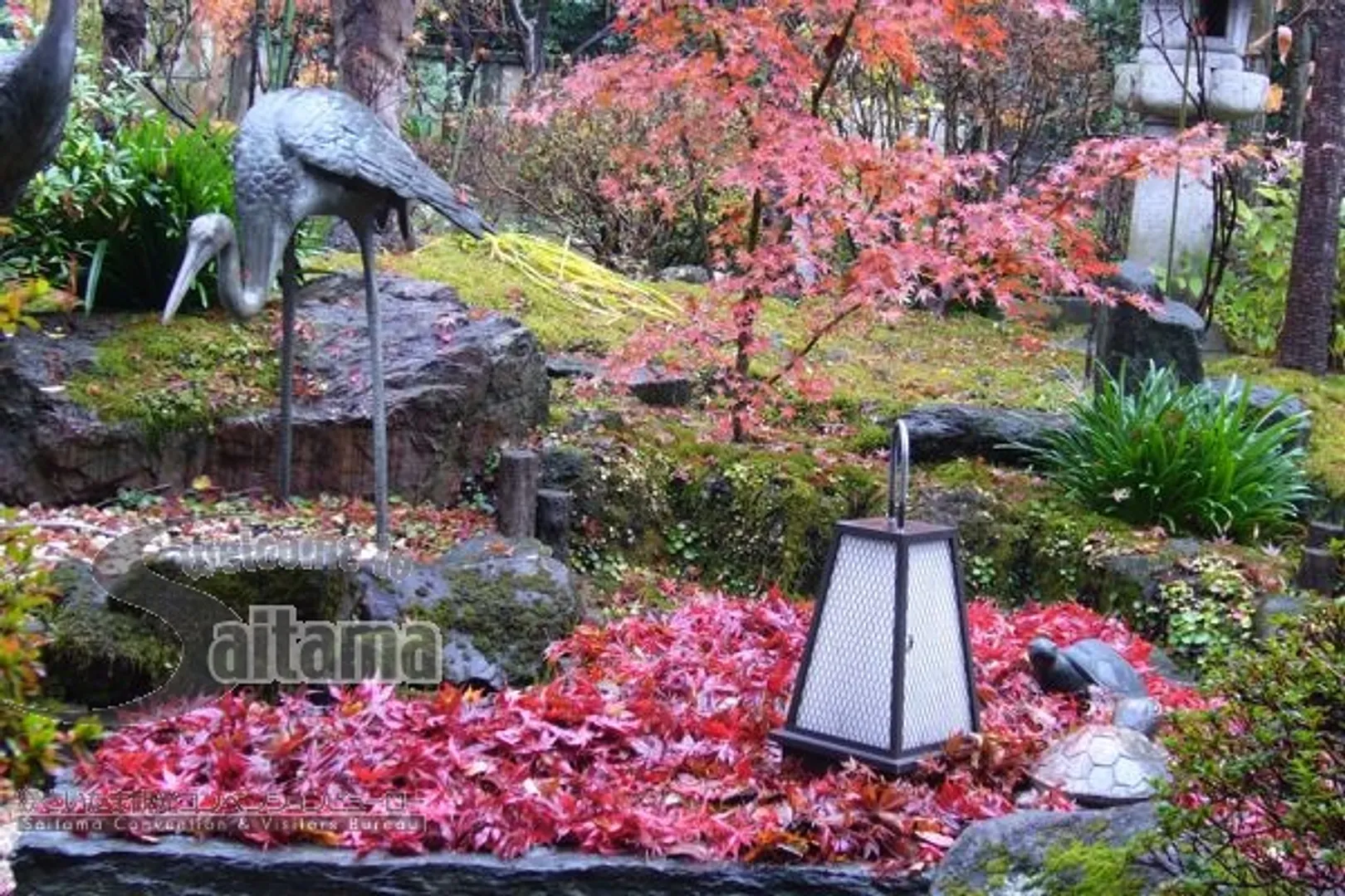 桜茶屋