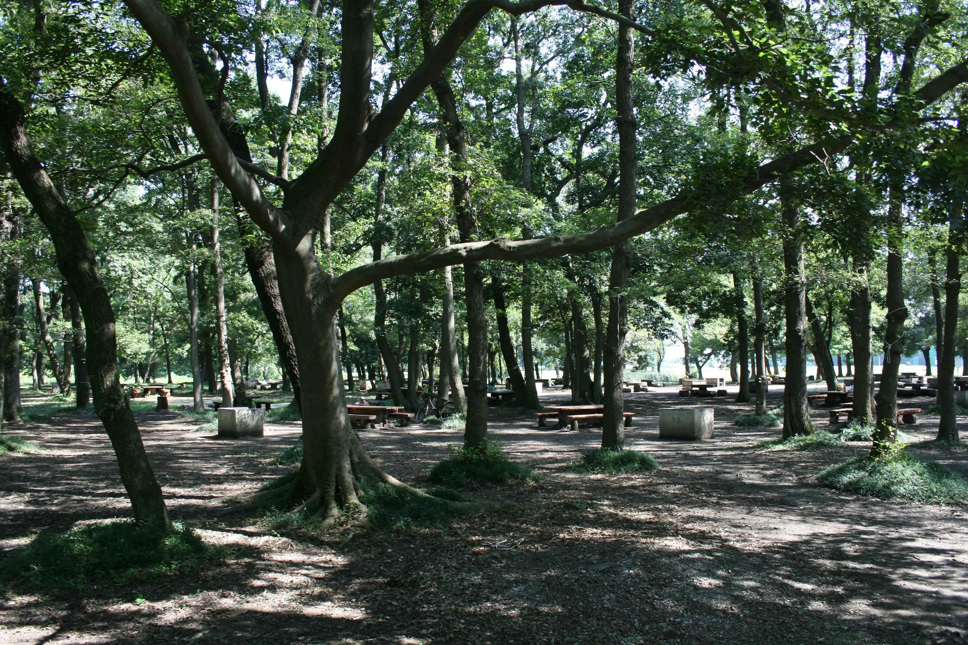 秋ヶ瀬公園2