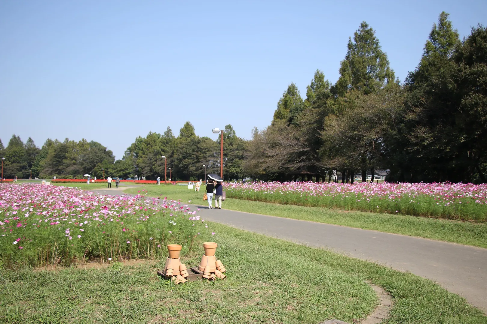 大宮花の丘農林公苑2