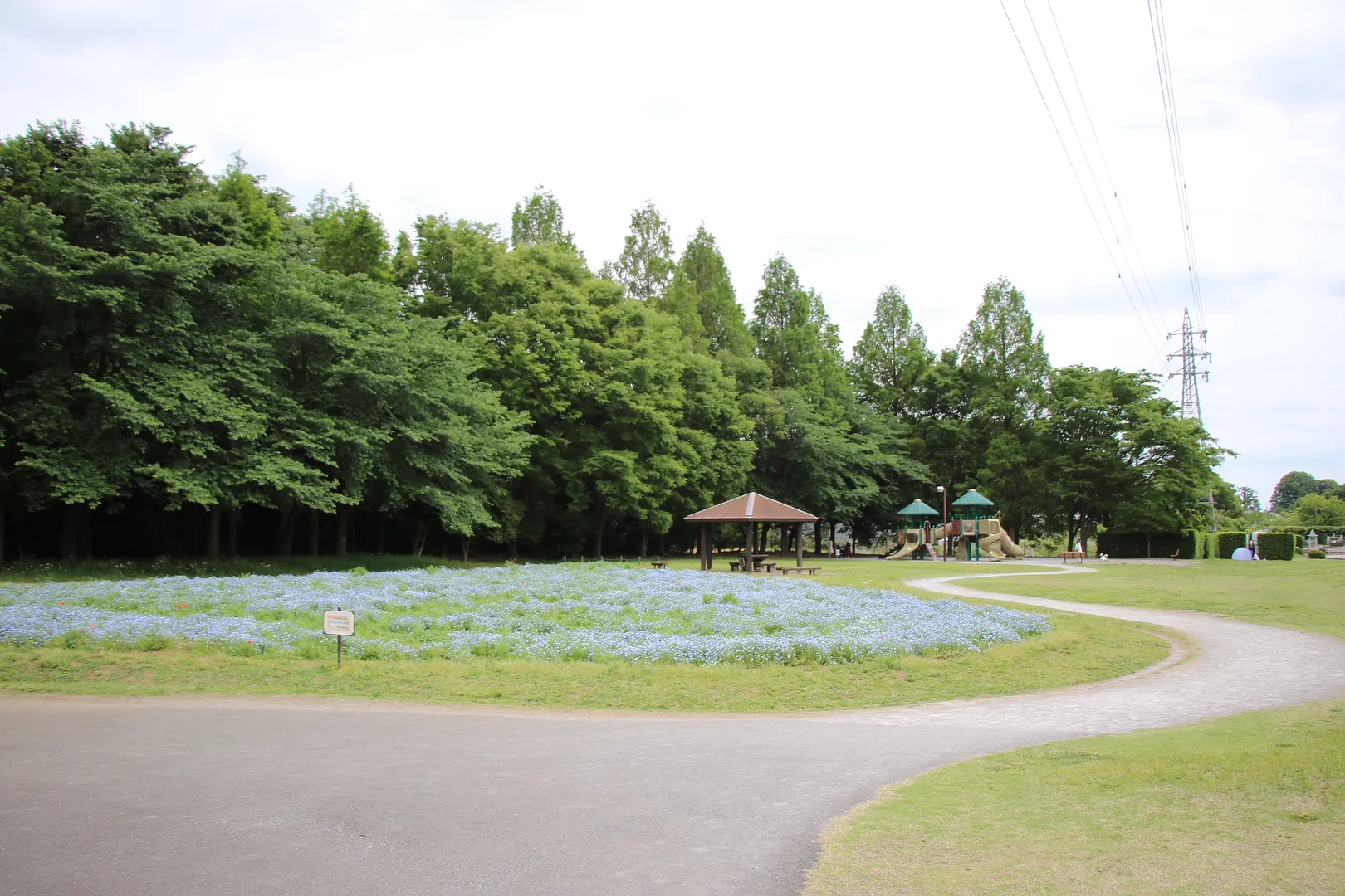 大宮花の丘農林公苑4