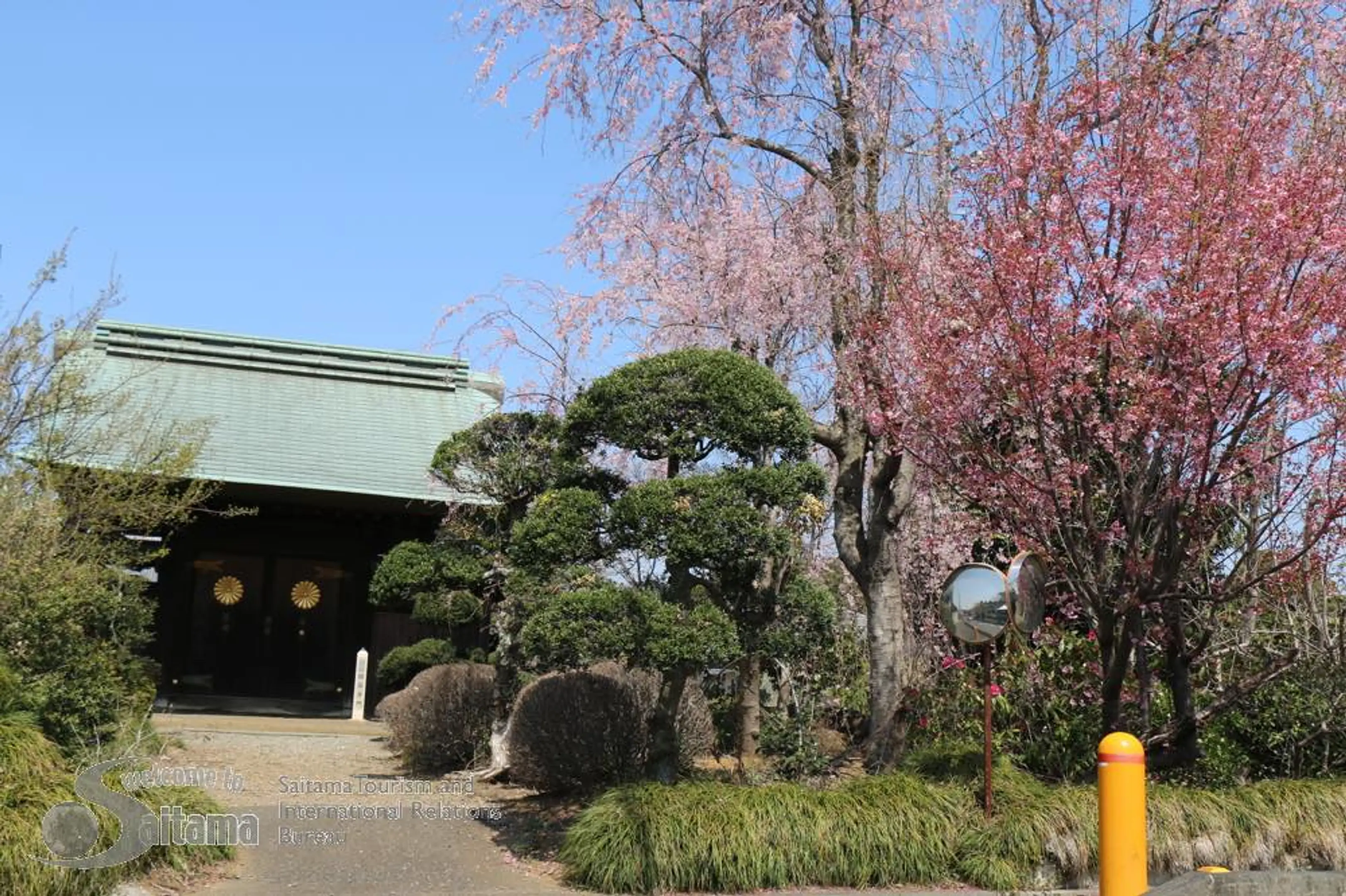 国昌寺 スポット一覧 VISIT SAITAMA CITY