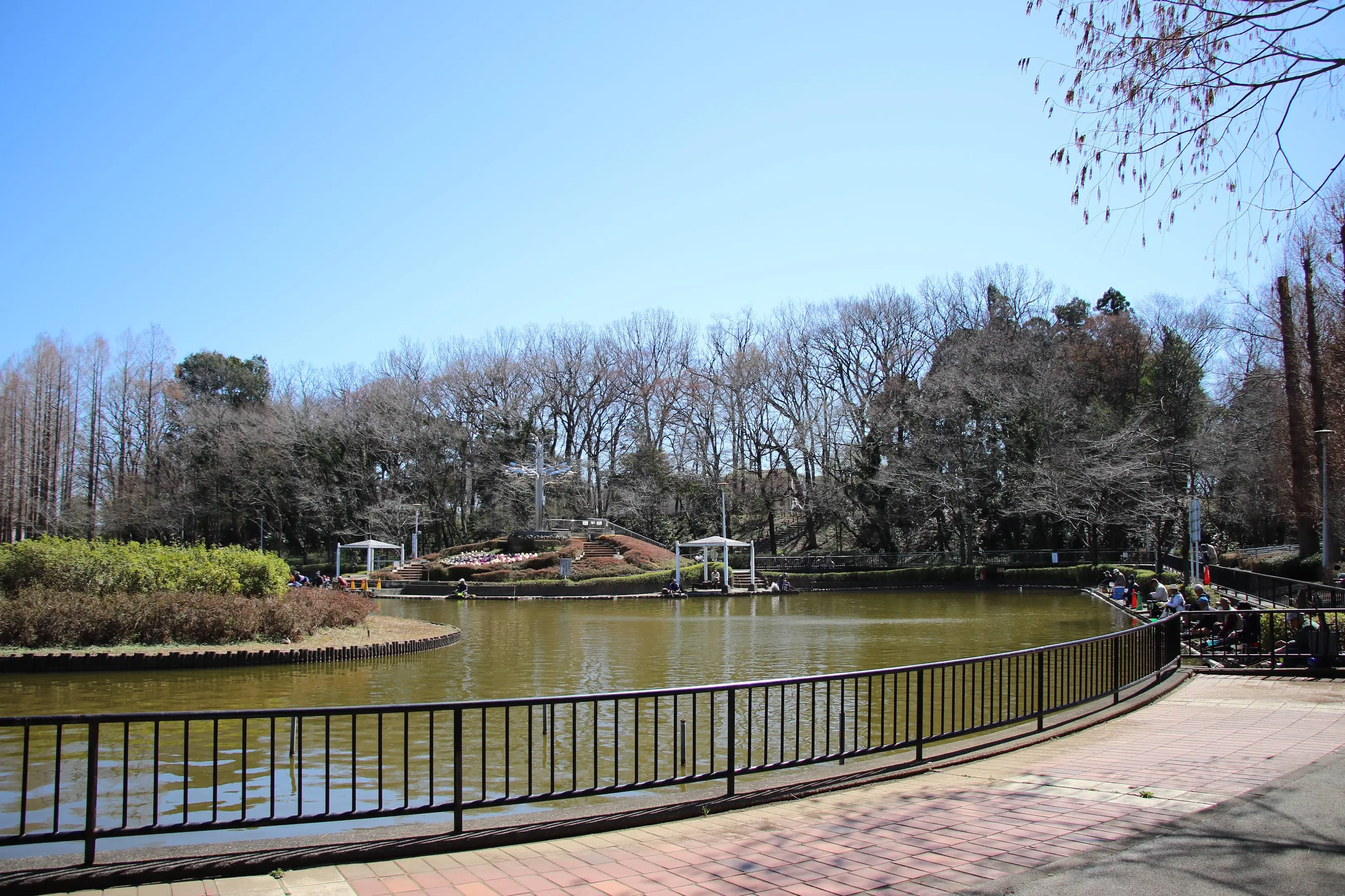 さぎ山記念公園3