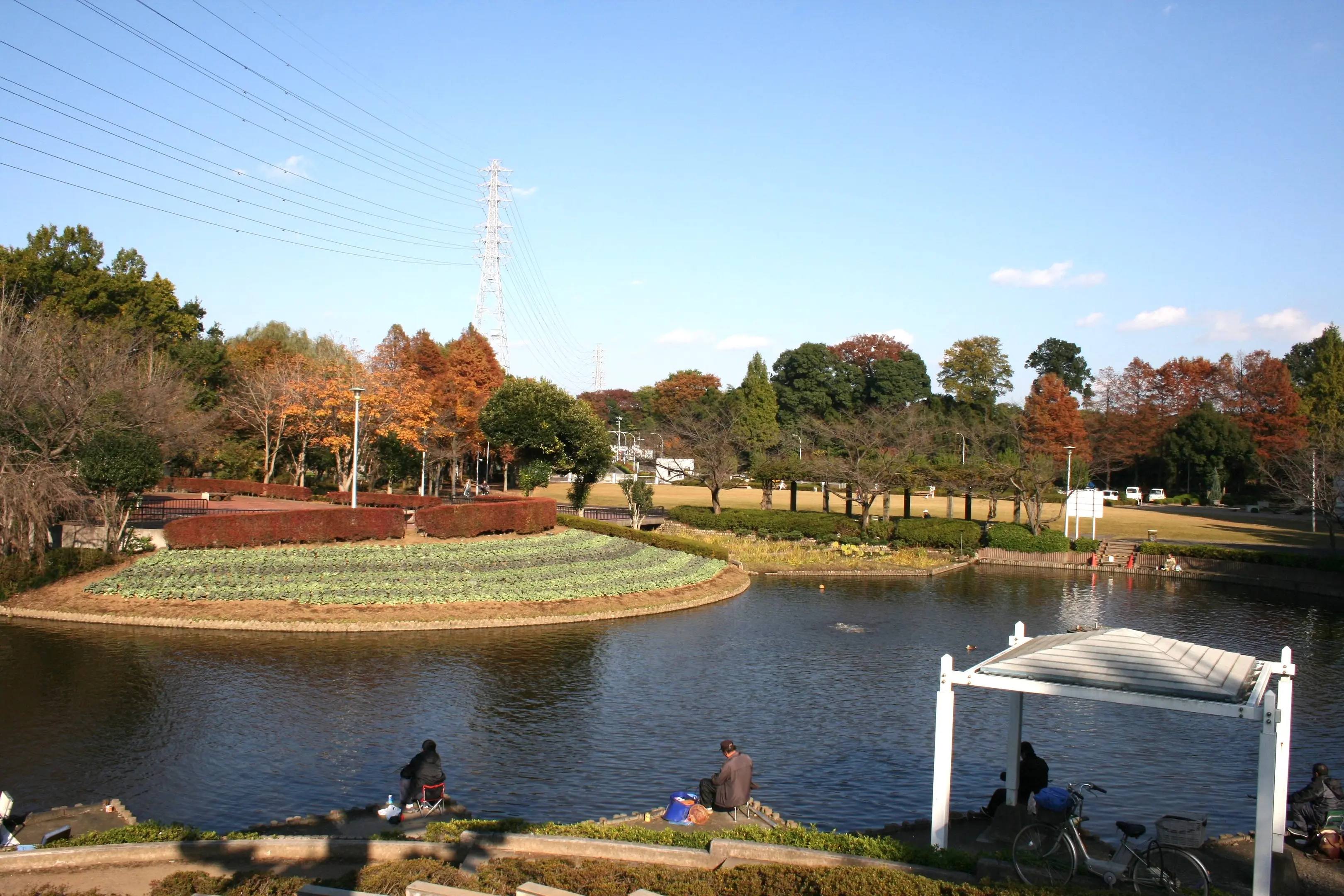 さぎ山記念公園5