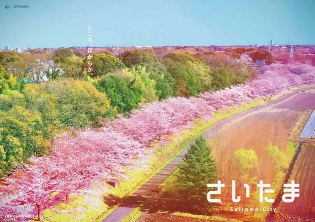 見沼田んぼ桜回廊「こころ、ほがらか。」　さいたま市観光PRポスター”こころ”シリーズ（B1サイズ）