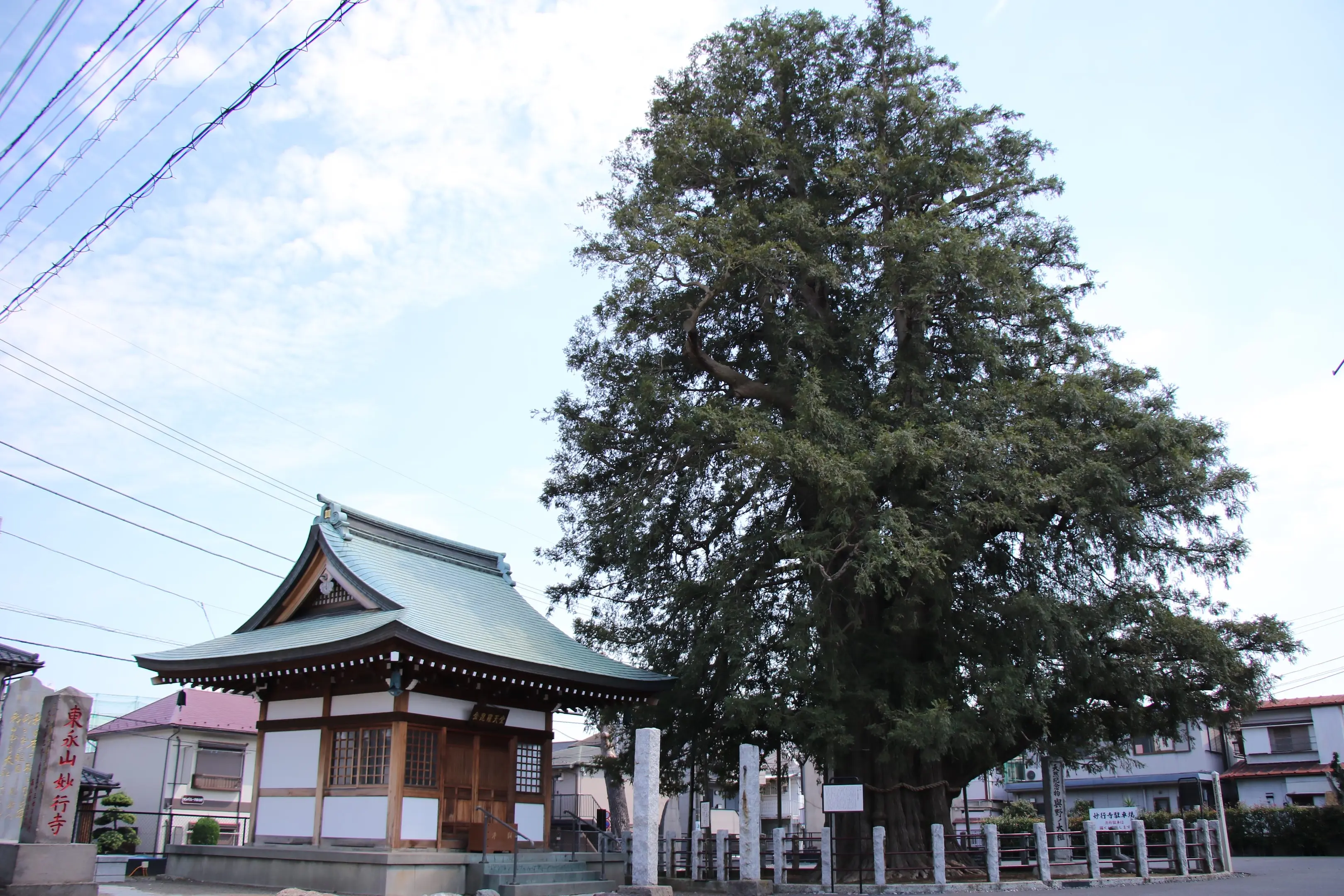 与野公園 スポット一覧 VISIT SAITAMA CITY
