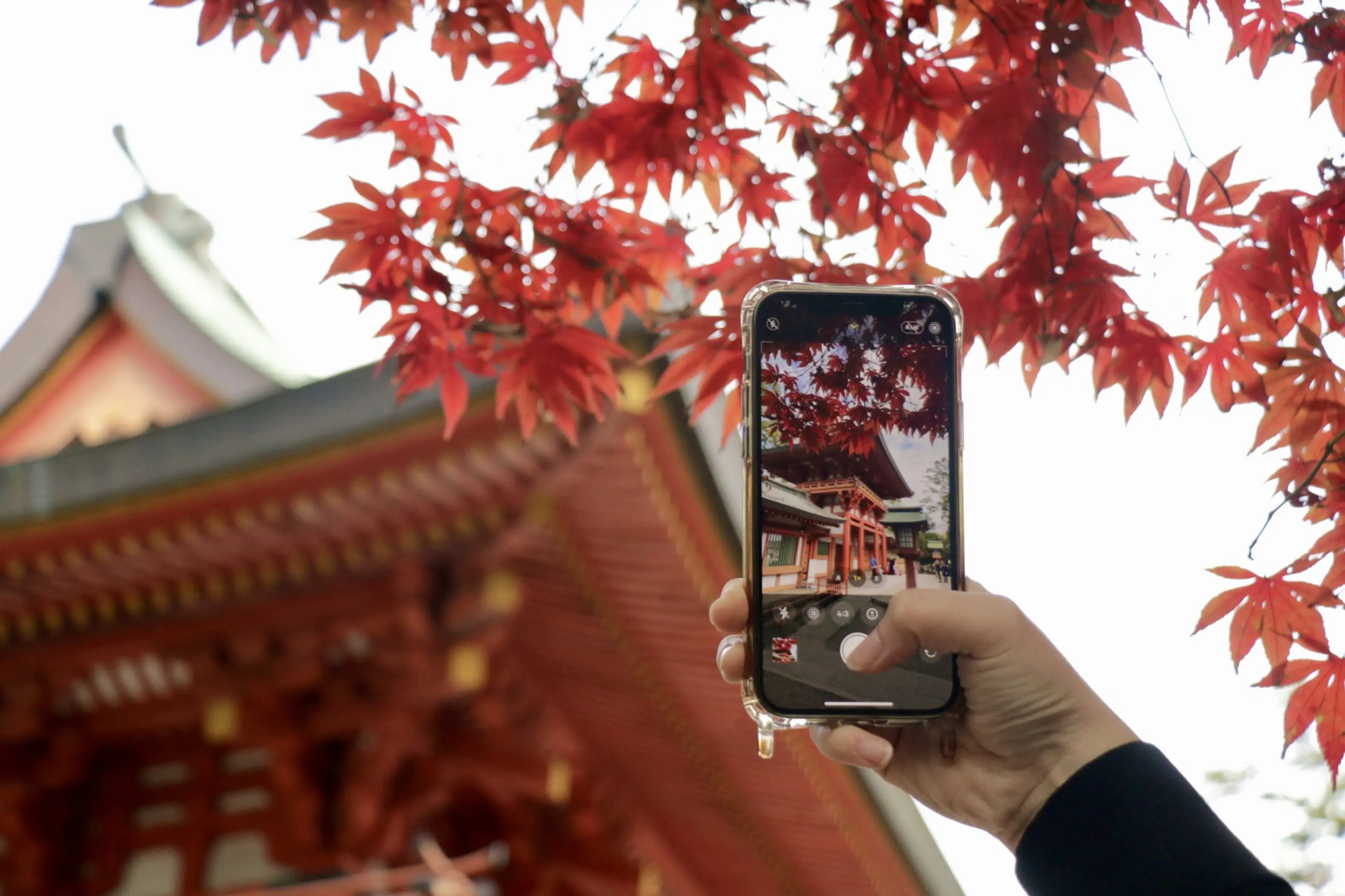 武蔵一宮氷川神社の楼門前の紅葉