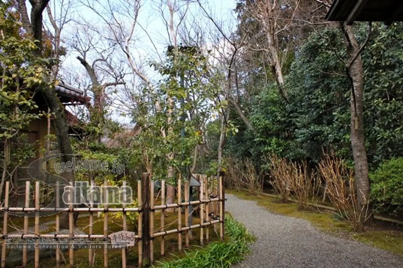 桜茶屋