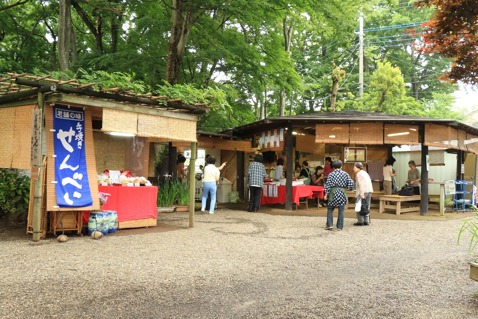 染谷花しょうぶ園7