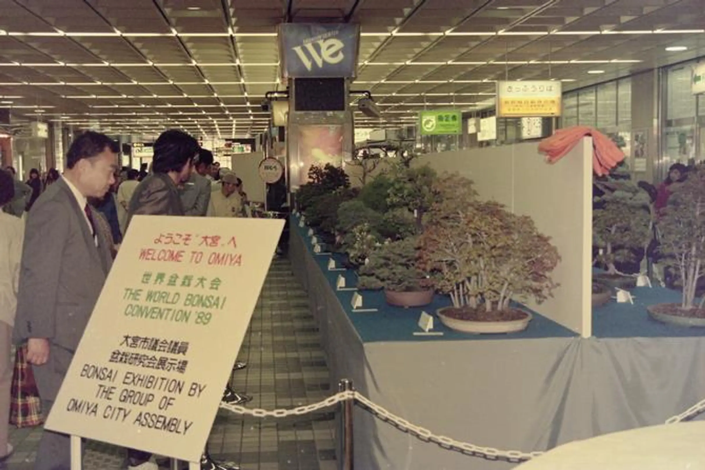 1989年の第一回世界盆栽大会